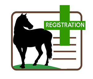 Equine Registration Only